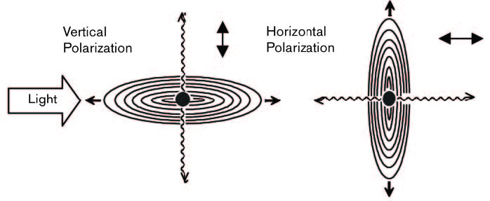 Scattering from Different Polarizations