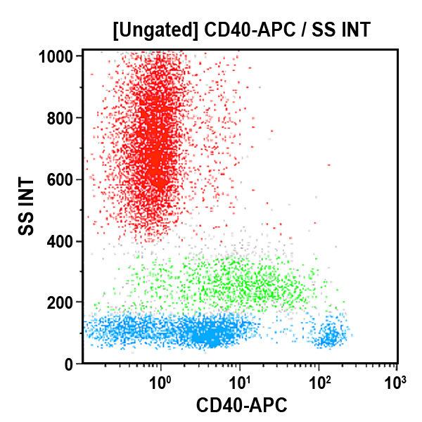 B30636_CD40-APC, MAB89, 0.5 mL, ASR